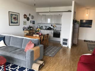 Kitchen and livingroom/dining room. It's bright even without lights.