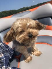 Boy, this boat is sure windy!