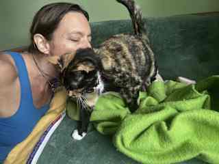 Plum is very affectionate and meows to let you know when she wants your love.