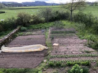 vegetable plot in April
