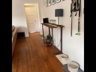 Bowls, leashes and treats
