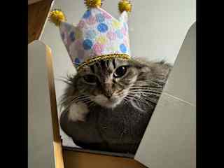 I’m the queen