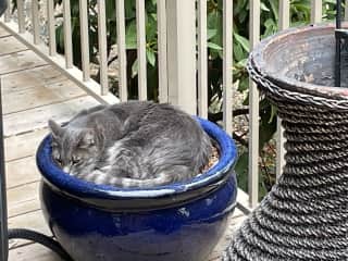 Enjoying the outdoors