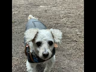 Major on duty camping & enjoying life