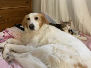 Sushi and Ella together forever