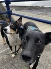 They love the beach.