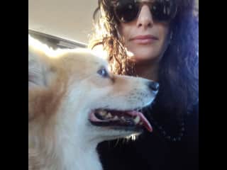 Me and Andi the Corgi while taking care of her for some friends