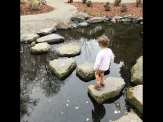 Skipping rocks .