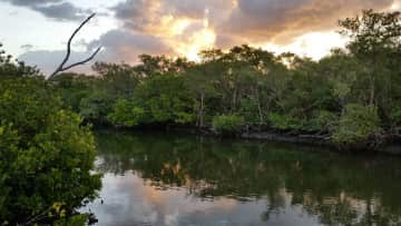 Sunrise over bayou 1 block from house