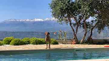 Views of the White Mountains from the garden.