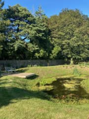 The pond in our garden.

(NOT FENCED so probably not suitable if you have small children)