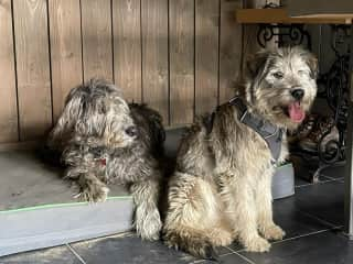 Fitz beside Gladstone’s bed