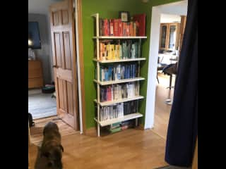 Hallway with 2 bookcases and a ton of CDs if you're old school.