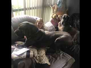 Brianna with Humphrey and Maple while pet sitting in Tasmania, Aus (Tania Housesit)