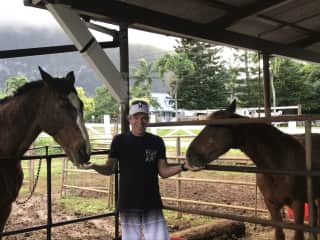 Housitting on Open Palms Plantation in Hawaii...Mike attending to horse duties with Waldo and Diamond!