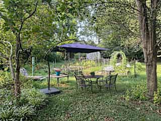 Garden and backyard