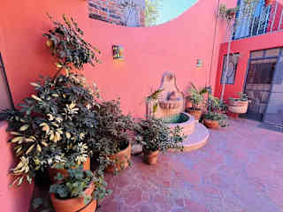 Back patio