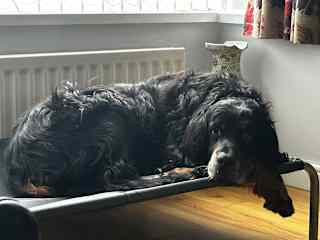 Hamish chilling!
