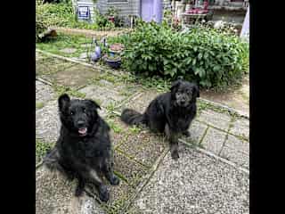 Thor & Loki