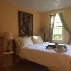 Guest room, with Willa and Obi