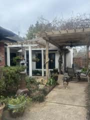 Daytime view of side yard with vine-covered pergola, dining table/chairs topped with “Big Ass” ceiling fan, plus potted plants, blooming shrubs, an active bird feeder, and a sugar kettle fountain.