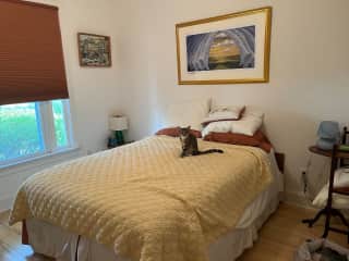 Guest bedroom -- Higgins is showing it off for you