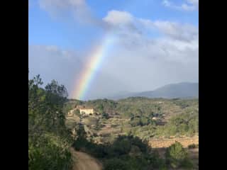 A photo taken on one of my morning walks through the vineyards with my friend and her dog Harvey.