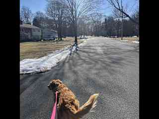 Great neighborhood for walks