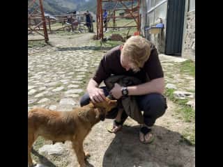Making friends with stray dogs all around the world. Peru Nov 2021