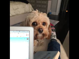 Delightful Daisy