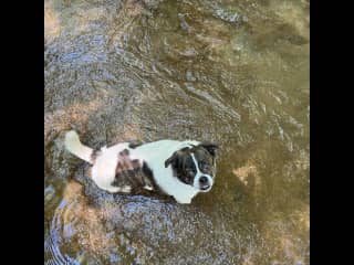 A little creek walking just five minutes from the house