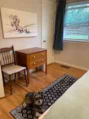 king bedroom with ensuite, closet, and view of trees behind house.
