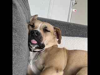 Sometimes I sleep in weird positions with my tongue out