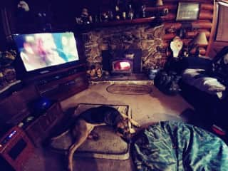 Living room with Trooper in front of fire