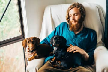 Tommy (the second generation dog whisperer) cuddling ziggy and frankie