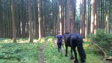 I also ride and look after horses. That's Taylor, a Friesian stallion.