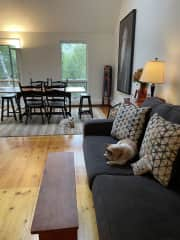 Living room in NH condo