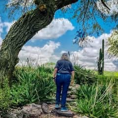 Los Senderos trails. (Senderos in Spanish means 'trails')