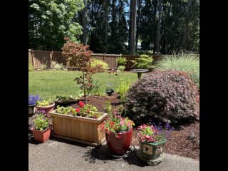 Garden lawn view