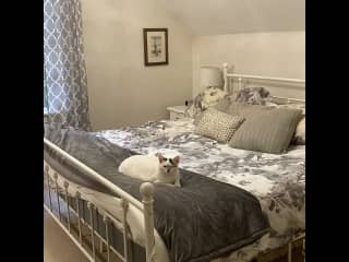 This is the master bedroom with a very comfortable Endy king mattress and linens. As you can see Holly enjoys it here!