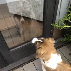 Tayo admiring himself