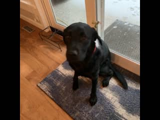 This is Murphy!