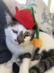Such a cutie