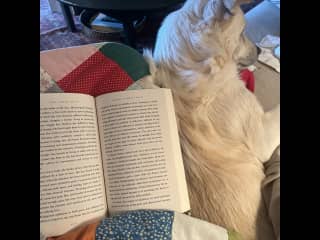 Keeping company