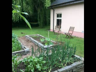 Our veg garden