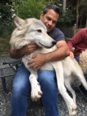 Wolf encounter, Max