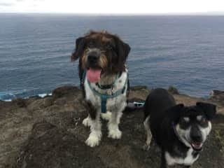 Hiking happiness!