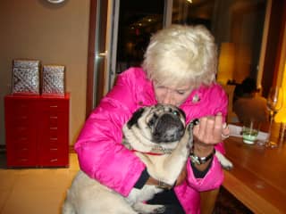 Me with Laduu, a friend's gorgeous pug, after a play day