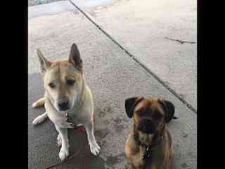 She’s on the left and Achilles is on the right