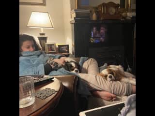 Rocky + Hugo